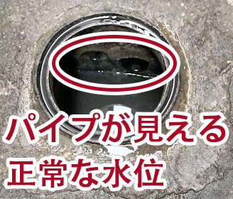 兵庫県伊丹市の屋外の排水管のつまりが取れて排水桝の水位が正常に戻った様子