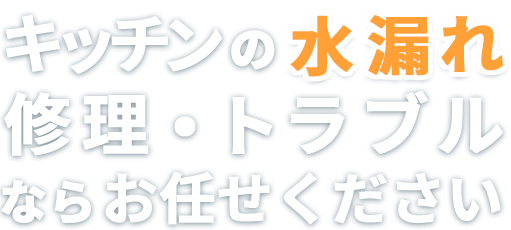 キッチンの水漏れ修理・トラブルならお任せください