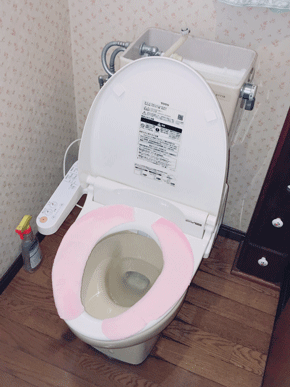 藤井寺市のトイレ水漏れの様子