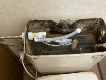 茨木市のトイレ水漏れ修理後の様子