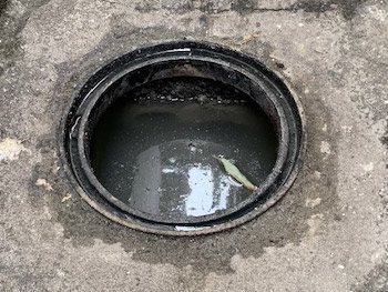 伊丹市の屋外の排水管が詰まって排水桝の水位が高い状態