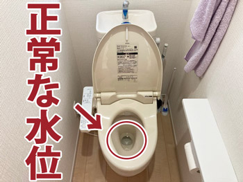 奈良県橿原市のトイレつまり