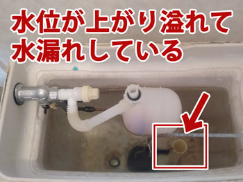 大和高田市のトイレ水漏れの様子